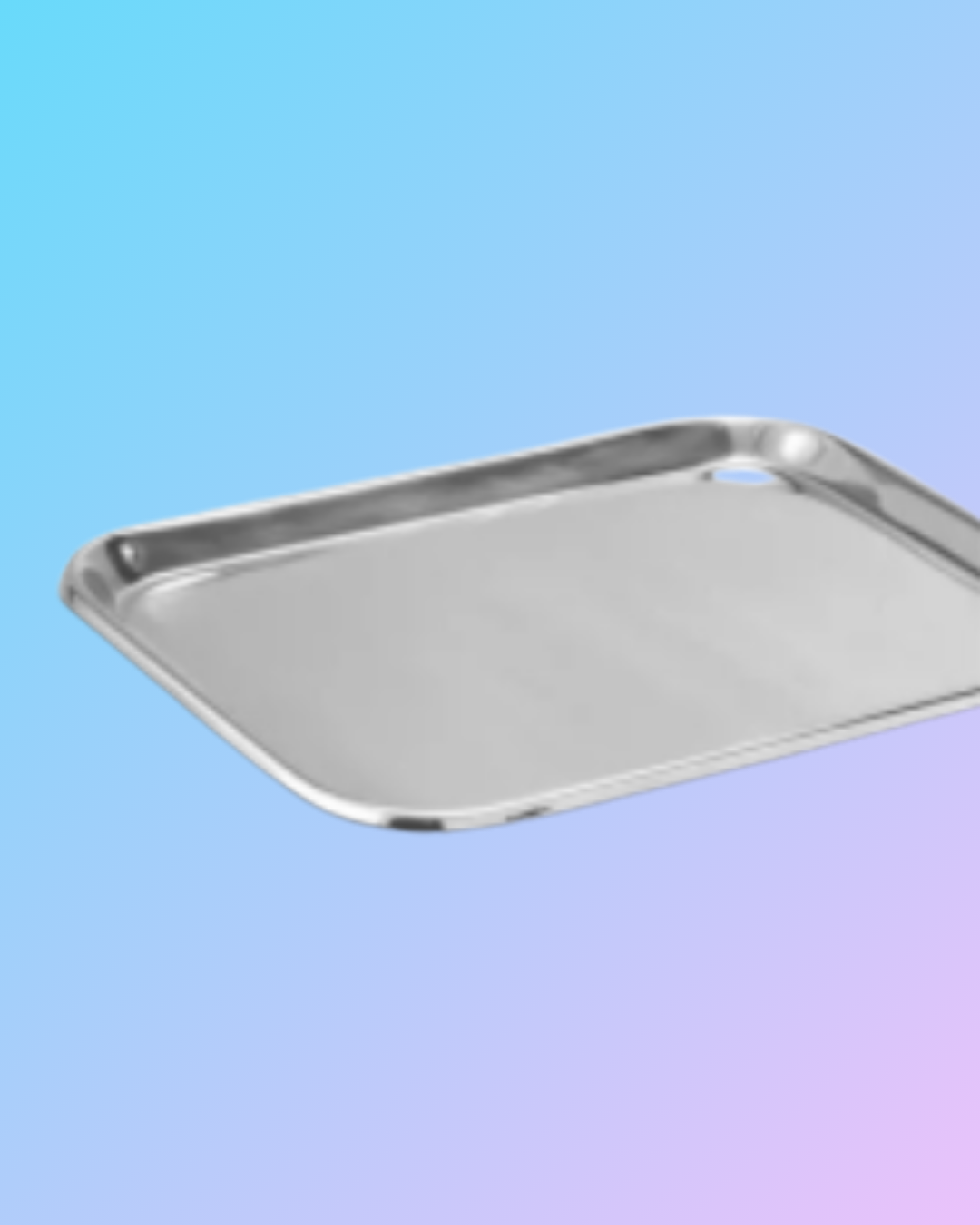 Mayo and Dental Tray Stainless Steel