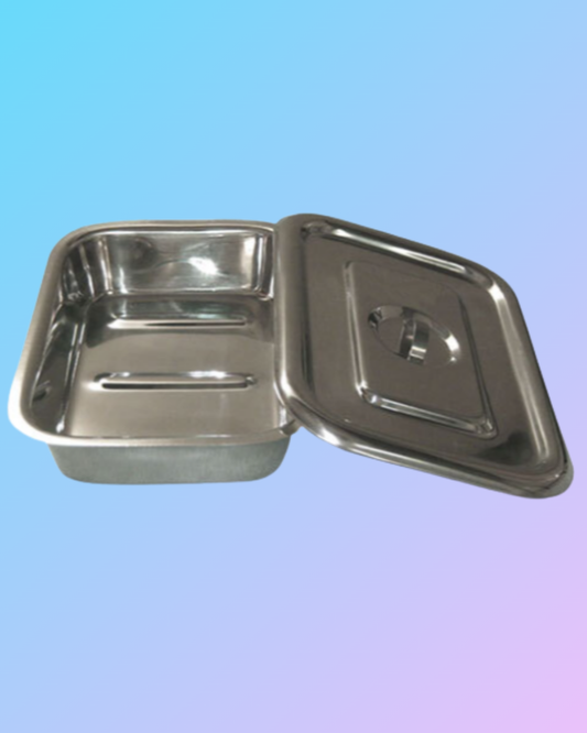 Instrument Tray with Cover SS 202 Grade Economy