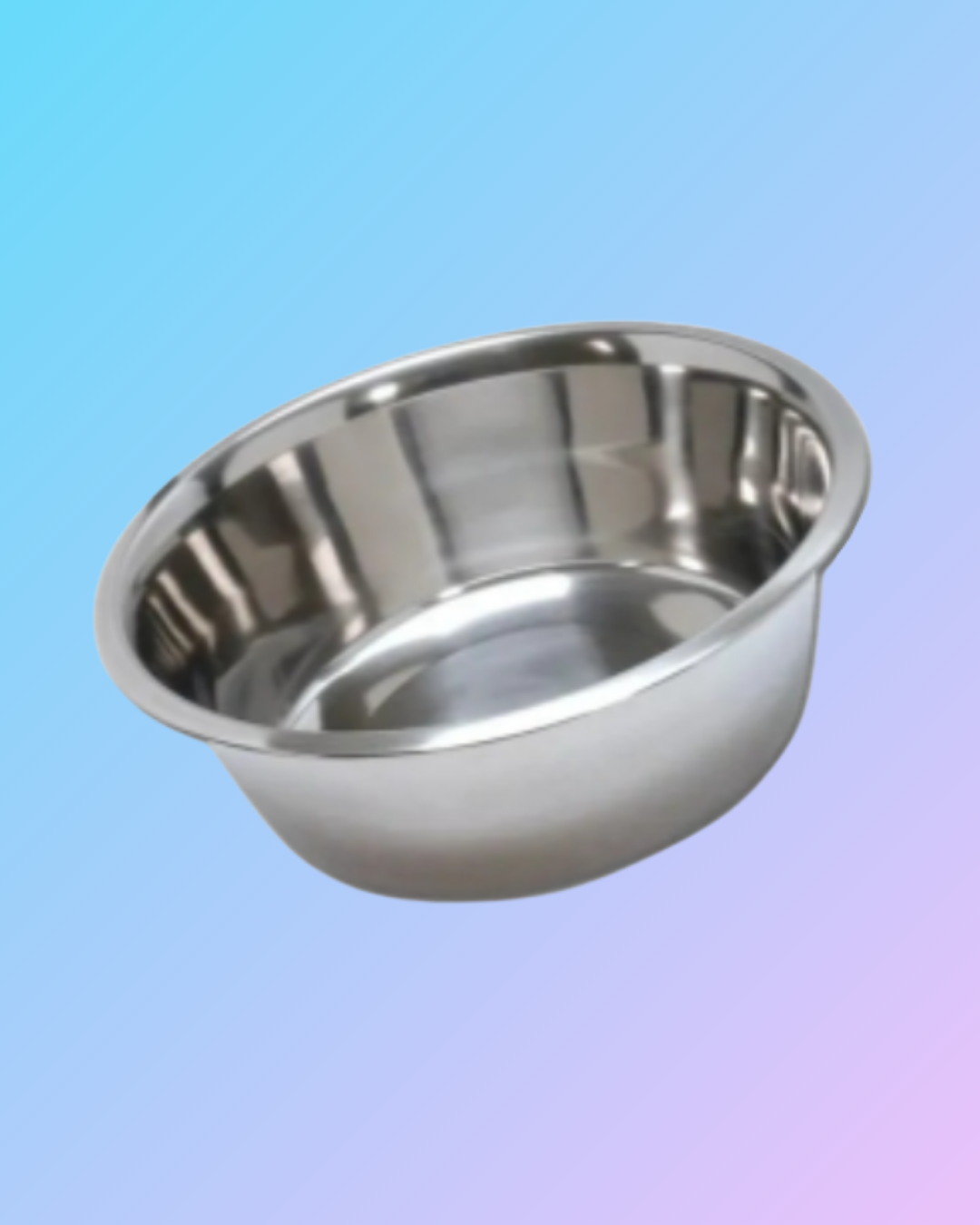 Stainless Steel Surgical Bowl